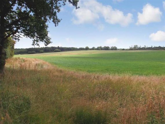 1&nbsp;Bedroom&nbsp;Detached